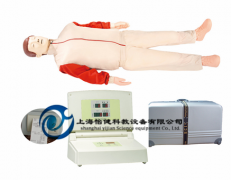 高級(jí)心肺復(fù)蘇模型