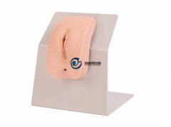 高級著裝式女性導(dǎo)尿模型