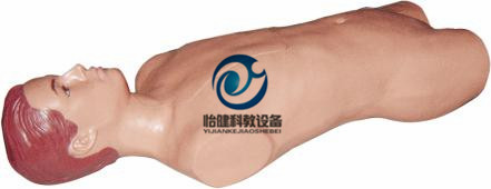腹腔與骨髓穿刺模型